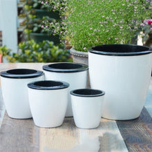 Load image into Gallery viewer, Self Watering Pots