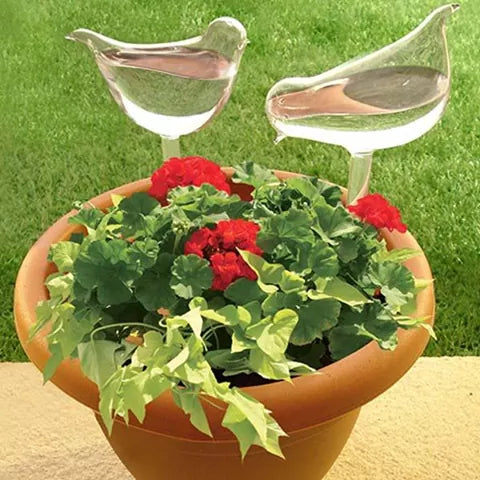 2x Self-Watering Plant Glass Bulbs