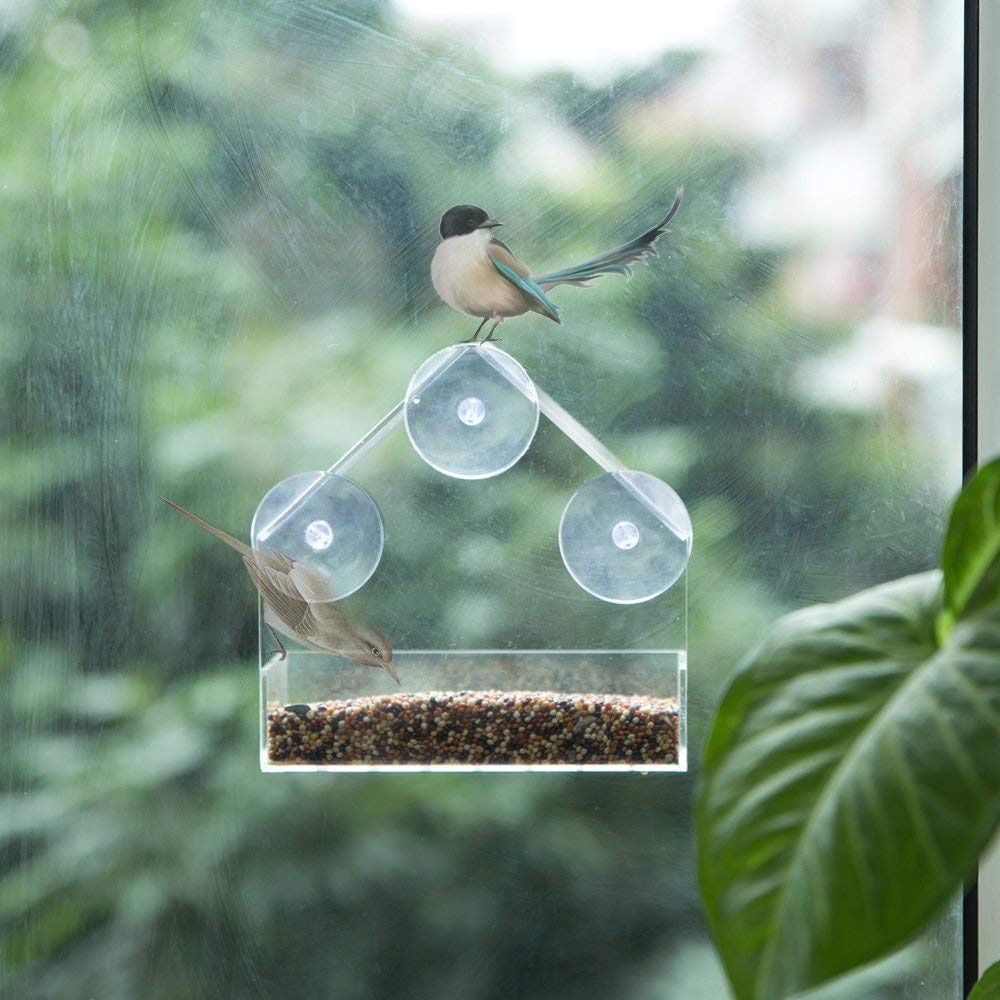 BirdBuddy™️ Feeder